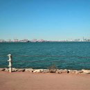 동춘서커스 공연장 이미지