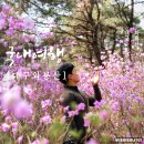 영산홍화장실 이미지