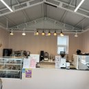 핑크로즈553 이미지