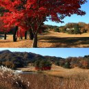 가평밸리 이미지