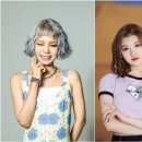 아라컴퍼니 이미지