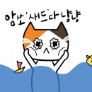 하슬라해물찜 이미지
