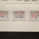 돼지살롱