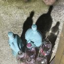 구서울갈비 이미지