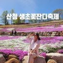 생초신발 | 핑크빛 가득한 봄 나들이 명소, 산청 '생초꽃잔디 축제' 후기