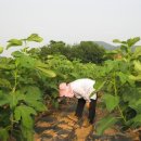 임성농장 이미지