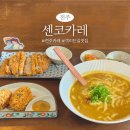 전주 객사 찐맛집 센코카레 혼밥 가능 일본식 카레 내돈내산 후기