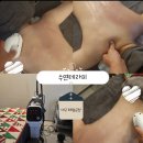 수연테라피 이미지