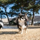 W&W(와앤와) 이미지