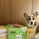 메이 동물병원 이미지