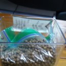 손앤이한의원 이미지