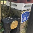 최가소원 이미지