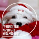 우리두리이벤트