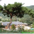 강에가펜션 이미지