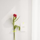 강남대로89길 15 이미지