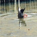 빛가람 호수공원 이미지