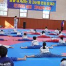 코마태권도장 이미지