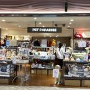 펫 파라다이스(pet paradise) 이미지
