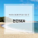 천진sea 이미지