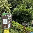 [제주] 5월 제주 오름 추천 다랑쉬오름 메밀밭 포토존 후기
