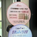 창원 상남동 보그헤어 원킬클리닉 &amp; 두피스케일링 후기｜손상모 집중 케어