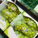 카페옴마 네이버블로그