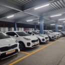 팀모터스 이미지