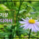 24. 9. 29(주일) 열왕기상 1장, 갈라디아서 5장 이미지