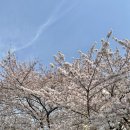 삼익로지스