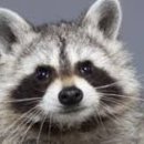 라이너 PC방 이미지