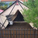 영월오아시스 글램핑 이미지