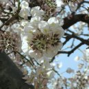 무안북중학교 이미지