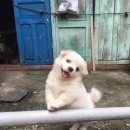CGV천안 8관 이미지