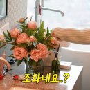 방이우리들안경 이미지