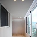 마루컴퍼니 이미지