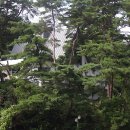 SK스포츠(당구장) 이미지