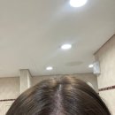 혜인헤어# | 부산시청미용실 박승철헤어스투디오 염색후기 (혜인팀장님 시술 후기)