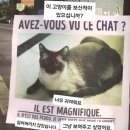 코타키나발루 가족여행 07 바타라스 슈퍼마켓 마트, 스타벅스 시티컵, 해산물 식당 웰컴씨푸드레스토랑...