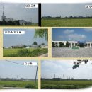 대야남초등학교 이미지