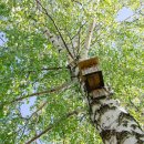 스타키보청기 서대문센터 이미지