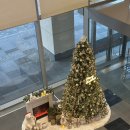 12-A | 2025년 12월 일상기록🎄 (2) +A형독감 후기😇, 그리고 연말휴가