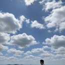 뉴스페이스건축연구소 | 관악산 초보 등산 서울대 코스 추천 주차요금 정보