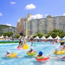 횡성토종닭 이미지