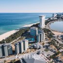 라카이샌드파인 이미지