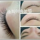 소피아헤어뷰티샵 네이버블로그