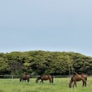 라궁목장 이미지