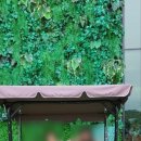 청라한화그린키즈어린이집 이미지