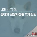 피움동물병원