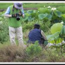장부농장 이미지