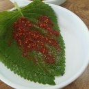 광장기사식당 이미지